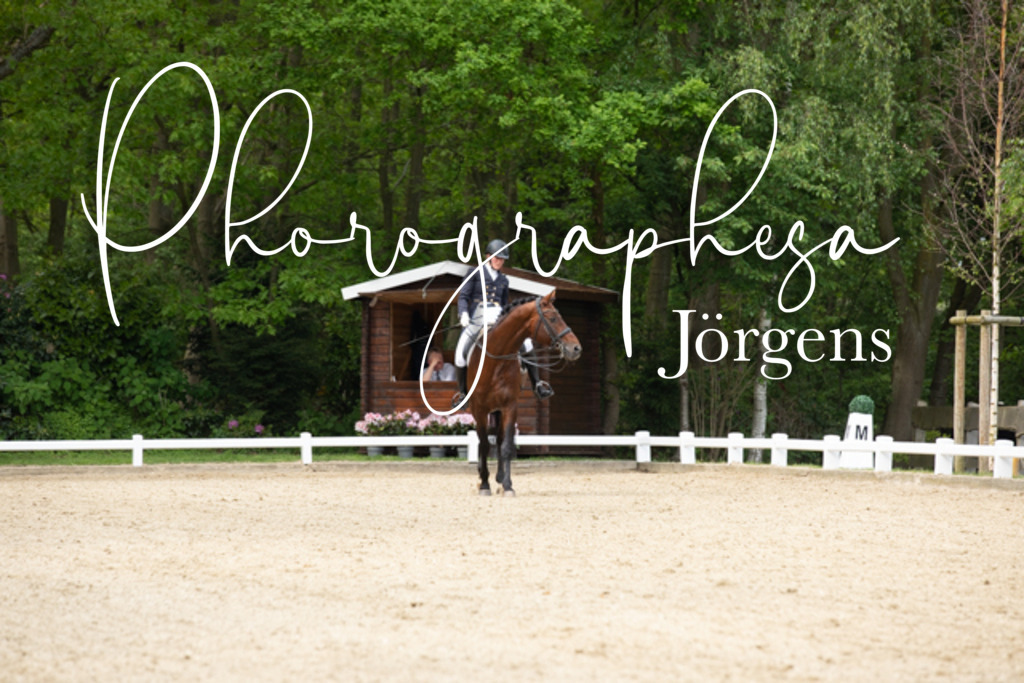 IMG_2406 | photographesa-joergens - Realisiert mit Pictrs.com