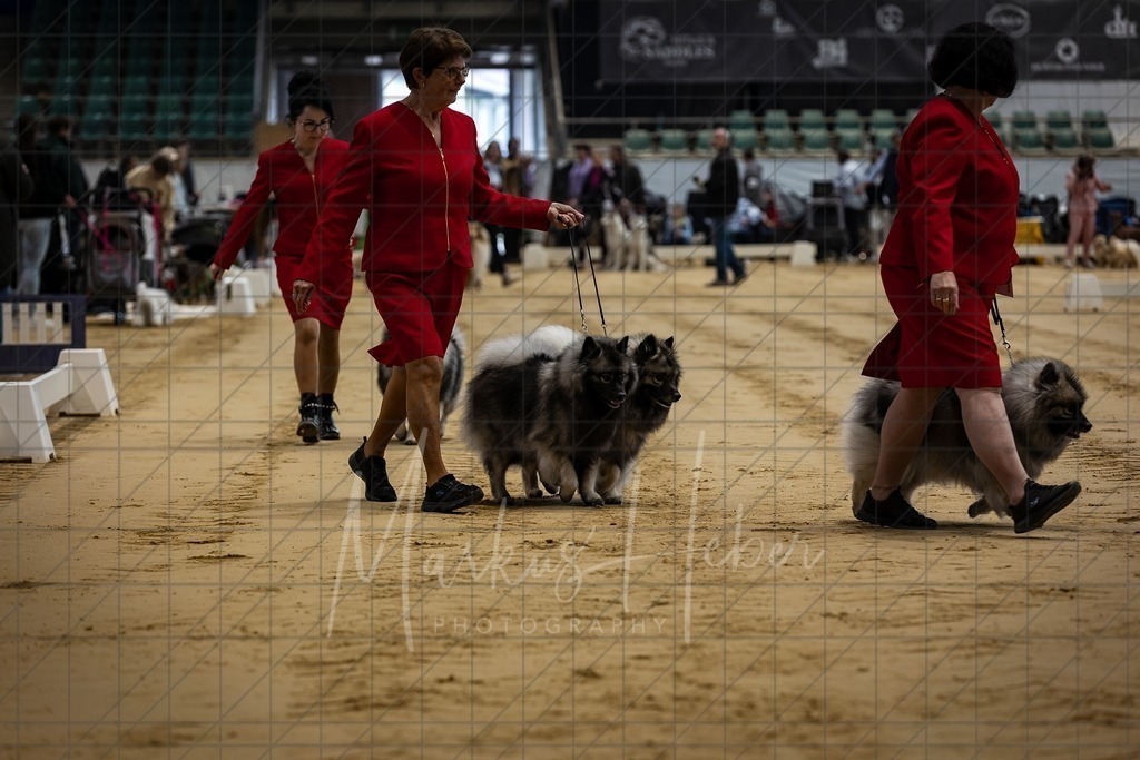 DS - Nachzuchtgruppe_0006 | Markus Heber Photography