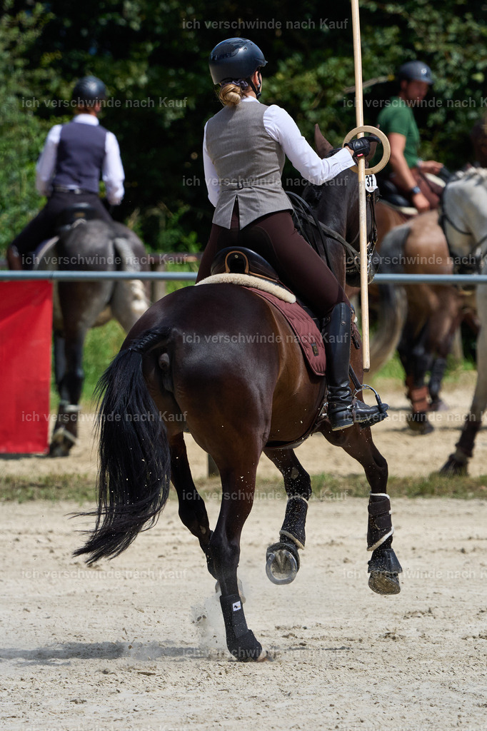 SIN05522_Marixx | working equitationturnier fotograf videograf stoibphotography marixx film working equitation deutschland reitsport turnierfotografie eventfotografie equestrian events