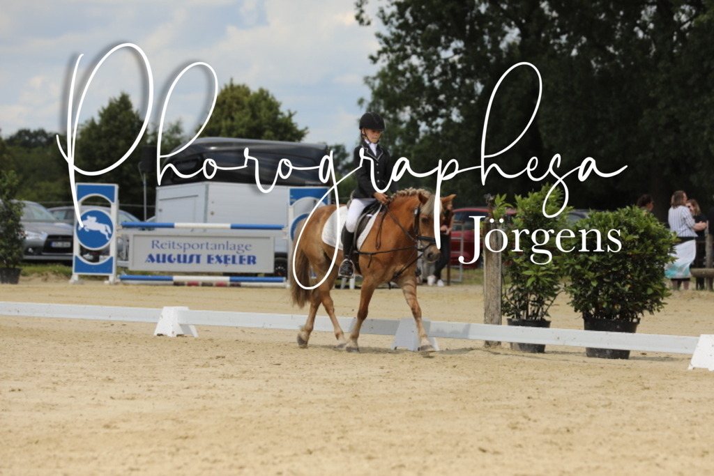 IMG_0220 | photographesa-joergens - Realisiert mit Pictrs.com