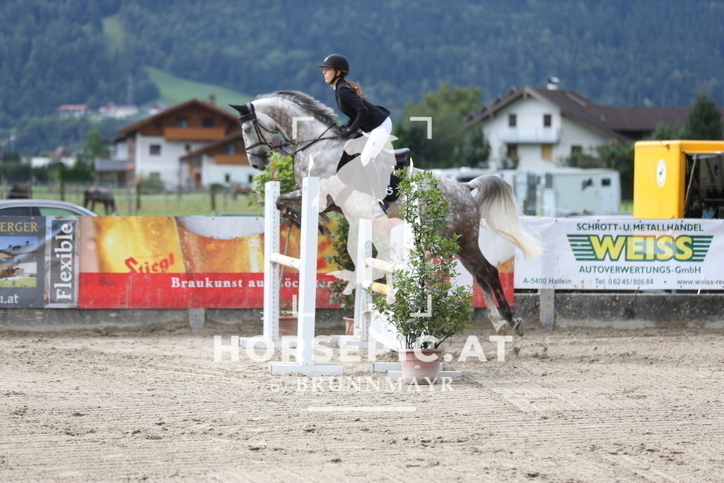 AS8V9903 | Willkommen bei Brunnmayr - Design & Fotografie – Ihrem Spezialisten für Reitturniere und Pferdeveranstaltungen in Oberösterreich, Salzburg und Bayern! Seit über 17 Jahren sind wir leidenschaftlich dabei.