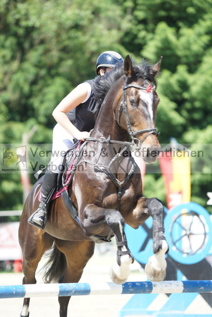 DSC00492 | equestrian-live-com