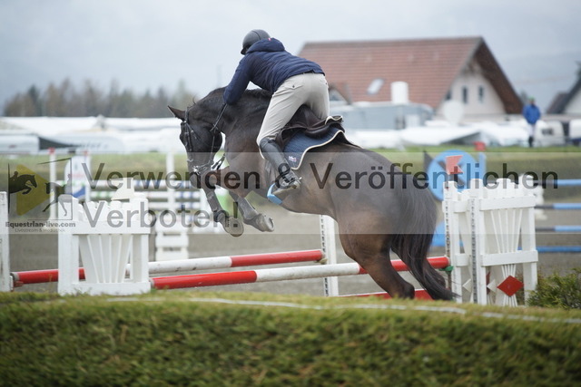 _DSC6180 | equestrian-live-com