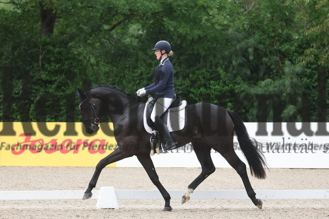 Weilheim_2023_Prfg.Nr.20_Reitpferdeprüfung_3u.4jähr.Hengste_Anna Casper_Elocin (1) | Alle Fotos der Reiterjournal Fotografin Doris Matthaes im Reiterjournal Online-Fotoshop. - Realisiert mit Pictrs.com