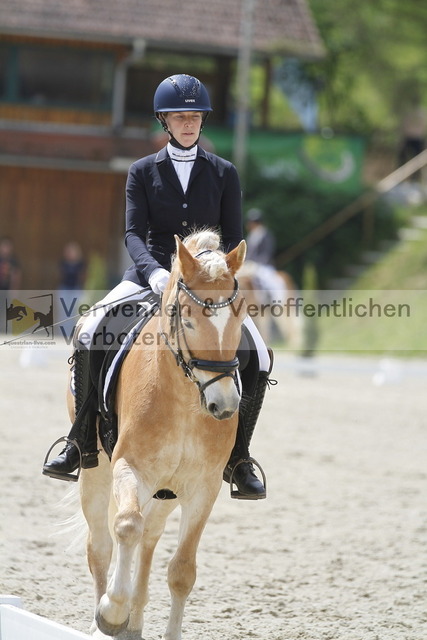 _MG_6995 | equestrian-live-com