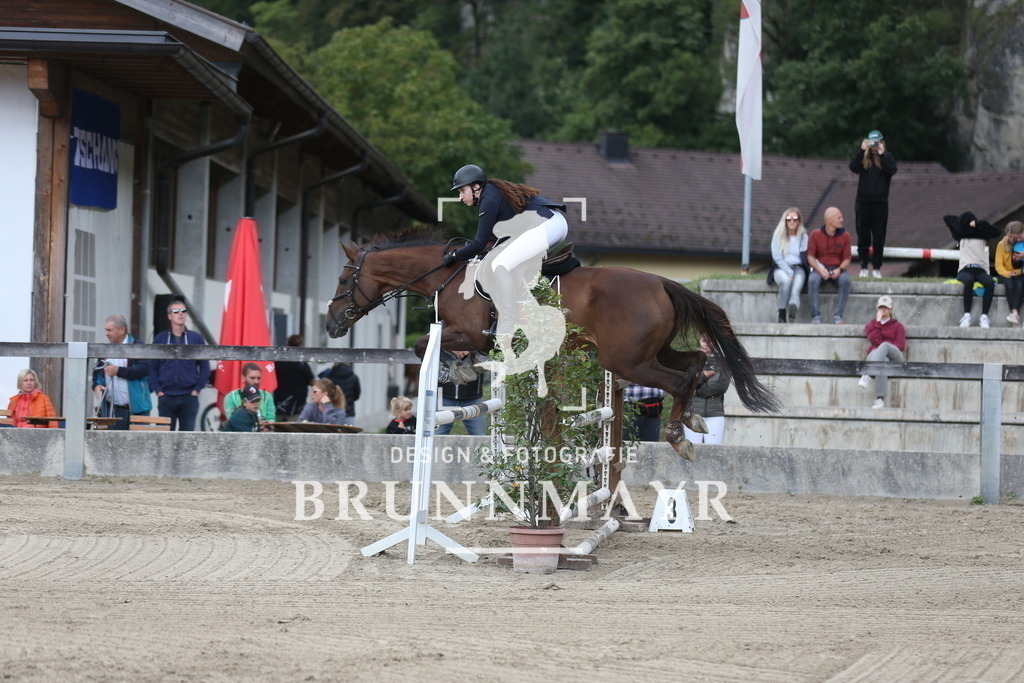 AS8V9851 | Willkommen bei Brunnmayr - Design & Fotografie – Ihrem Spezialisten für Reitturniere und Pferdeveranstaltungen in Oberösterreich, Salzburg und Bayern! Seit über 17 Jahren sind wir leidenschaftlich dabei.