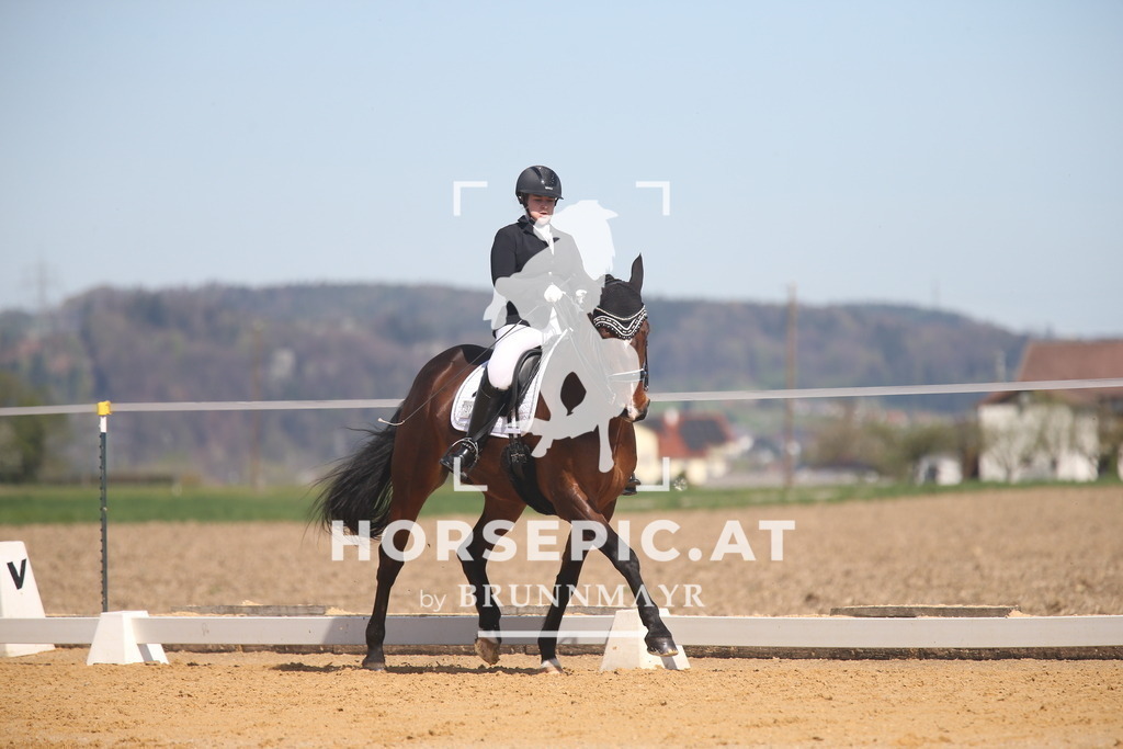 AS8V5118 | Willkommen bei Brunnmayr - Design & Fotografie – Ihrem Spezialisten für Reitturniere und Pferdeveranstaltungen in Oberösterreich, Salzburg und Bayern! Seit über 17 Jahren sind wir leidenschaftlich dabei.