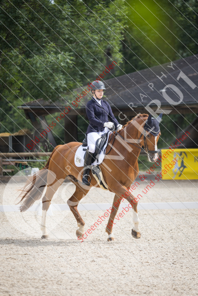 IMG_1586 | Hier findest Du viele Augenblicke aus den Bereichen der Turnier-, Sport- & Tierfotografie. Bilder mit deinem Liebling, Portrait-, Bewerbungs-, Businessbilder können ebenfalls schnell und einfach erstellt werden.