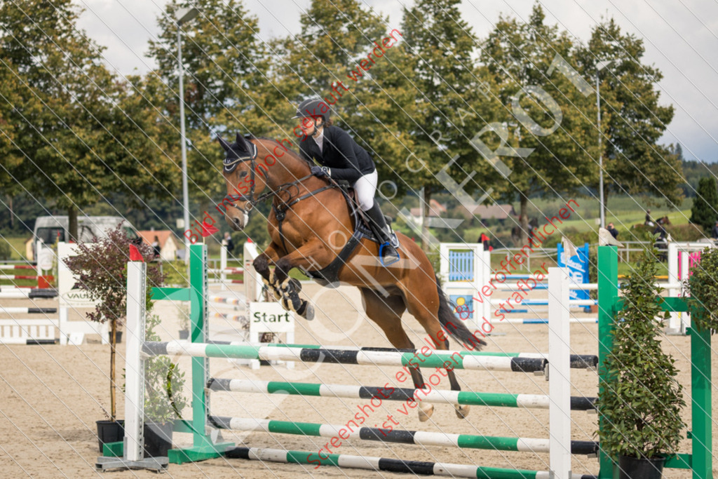 IMG_5221 | Hier findest Du viele Augenblicke aus den Bereichen der Turnier-, Sport- & Tierfotografie. Bilder mit deinem Liebling, Portrait-, Bewerbungs-, Businessbilder können ebenfalls schnell und einfach erstellt werden.