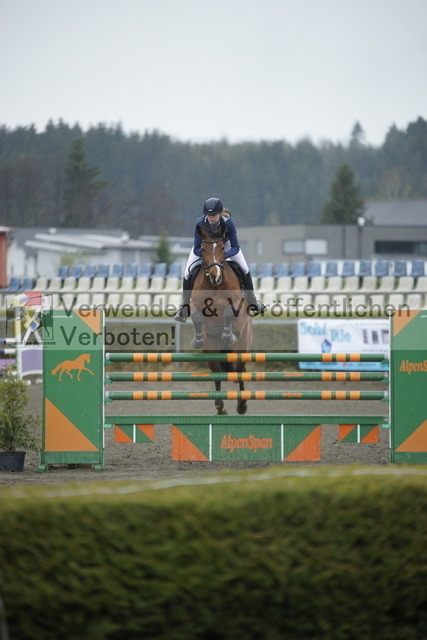 _DSC6212 | equestrian-live-com