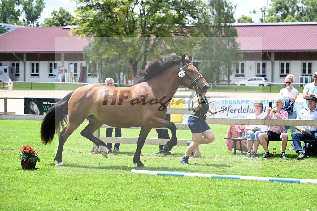 Kat-Nr. 53 Helene v. Ratz Fatz_Schwaiger_22240952 | hf-fotografie - Realisiert mit Pictrs.com
