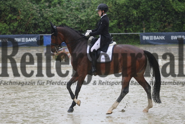 Ladenburg_2024_Prfg.Nr.06_Amateur-Dressurreiterprfg_Kl.S_Aileen Seitz_Deichmädchen (7) | Alle Fotos der Reiterjournal Fotografin Doris Matthaes im Reiterjournal Online-Fotoshop. - Realisiert mit Pictrs.com