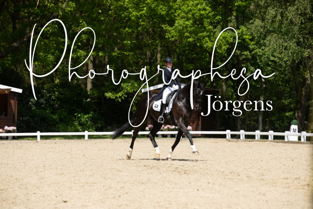 IMG_5385 | photographesa-joergens - Realisiert mit Pictrs.com