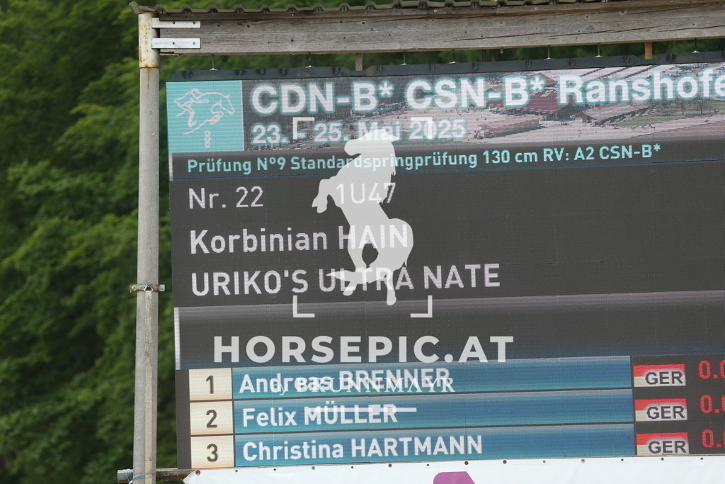 DL2Q3381 | Willkommen bei Brunnmayr - Design & Fotografie – Ihrem Spezialisten für Reitturniere und Pferdeveranstaltungen in Oberösterreich, Salzburg und Bayern! Seit über 17 Jahren sind wir leidenschaftlich dabei.