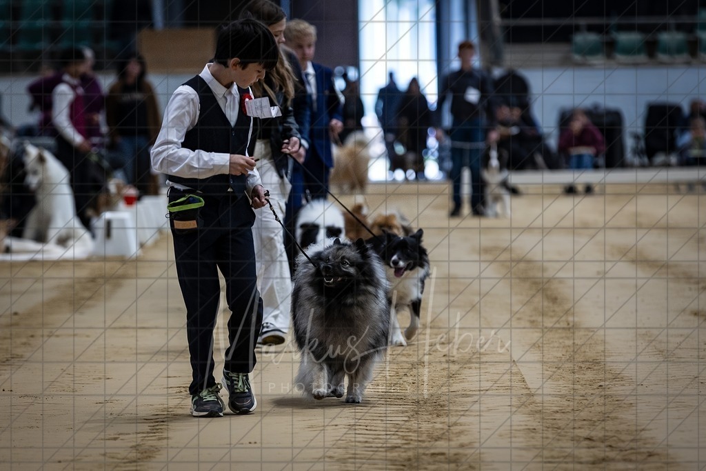 DS - Junior-Handling I_0001 | Markus Heber Photography