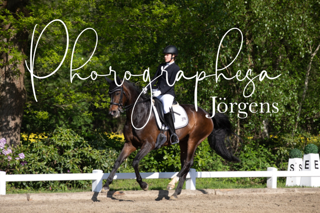 IMG_2700 | photographesa-joergens - Realisiert mit Pictrs.com