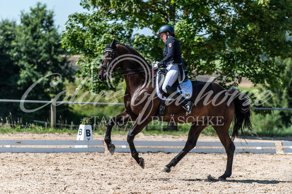 TBL_8445 | Turnierfotos von Reitturnieren in den Landkreisen Biberach, Ravensburg und in ganz Oberschwaben - von Tanja Bläschke - Colorsofahorse - Realisiert mit Pictrs.com