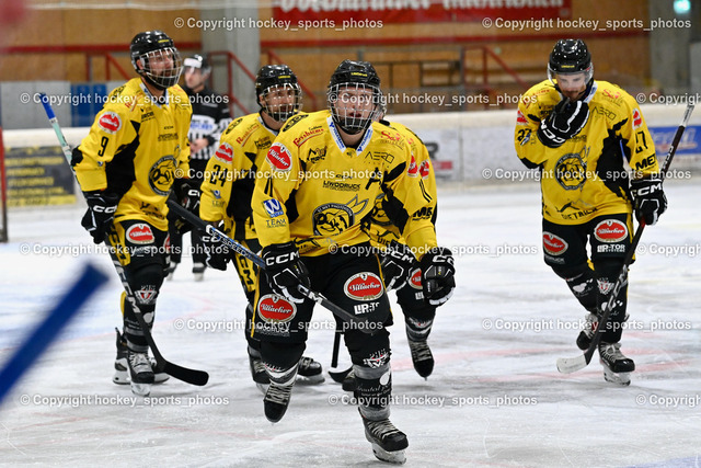 EC Spittal Hornets vs. ESC Steindorf 28.10.2023 | Jubel EC Spittal Hornets Mannschaft, #11 Kucher Florian, #27 Moser Daniel