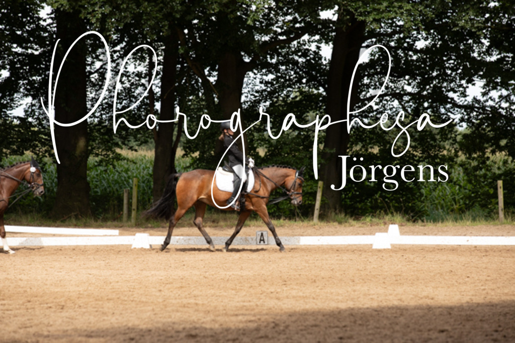 IMG_2134 | photographesa-joergens - Realisiert mit Pictrs.com