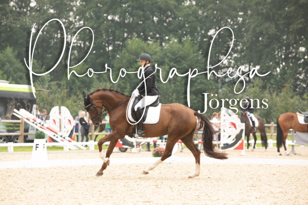 IMG_2819 | photographesa-joergens - Realisiert mit Pictrs.com