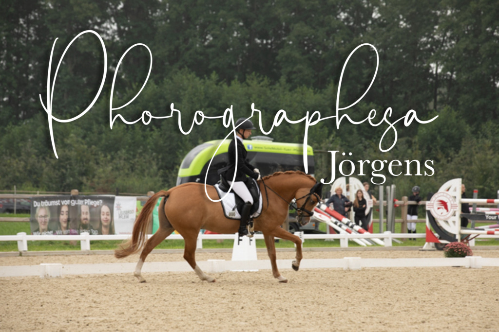 IMG_2365 | photographesa-joergens - Realisiert mit Pictrs.com