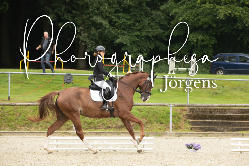 IMG_4455 | photographesa-joergens - Realisiert mit Pictrs.com
