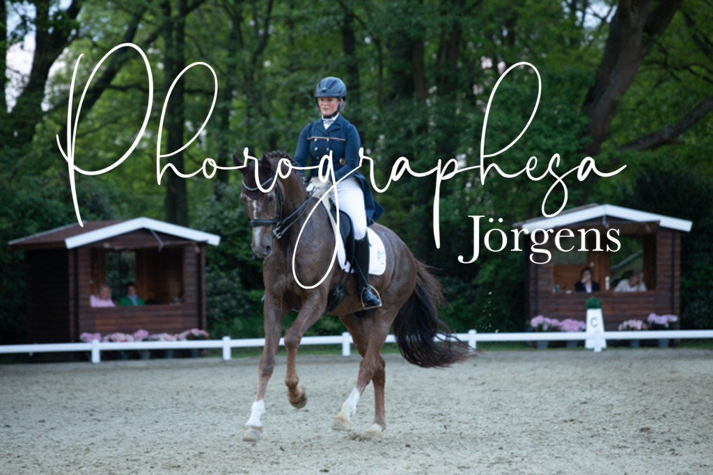 IMG_9626 | photographesa-joergens - Realisiert mit Pictrs.com