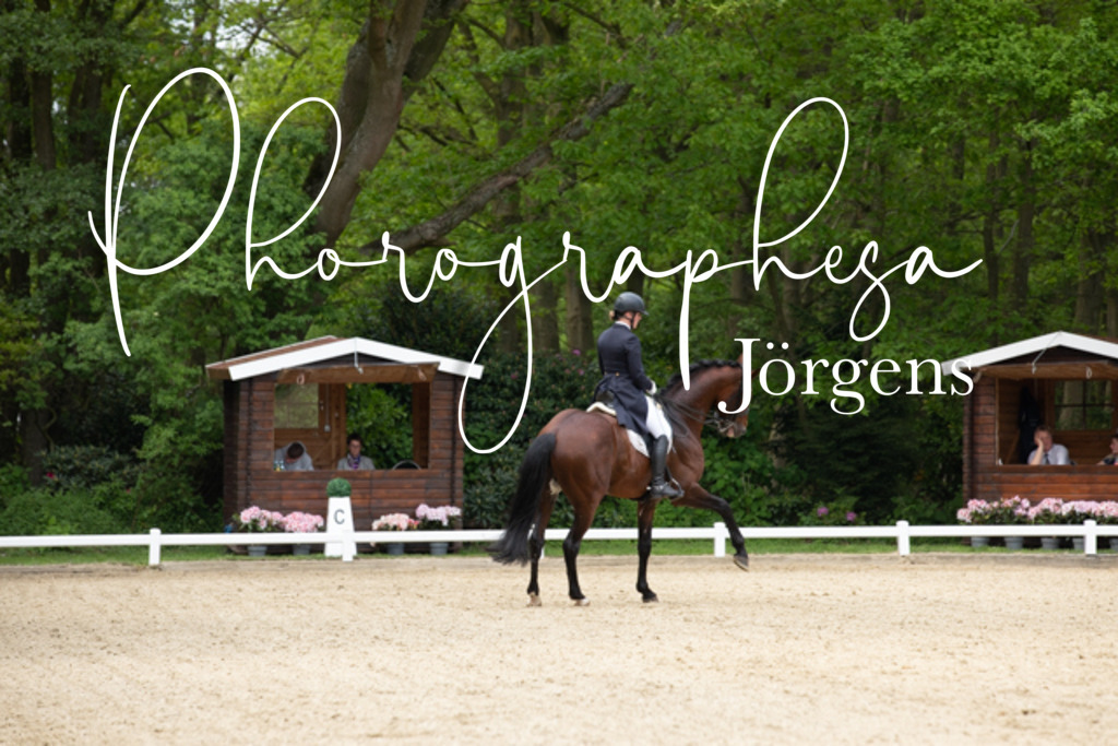 IMG_2386 | photographesa-joergens - Realisiert mit Pictrs.com