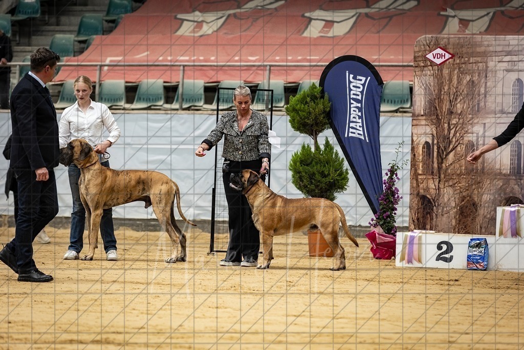 DS - Bester Junghund_0013 | Markus Heber Photography