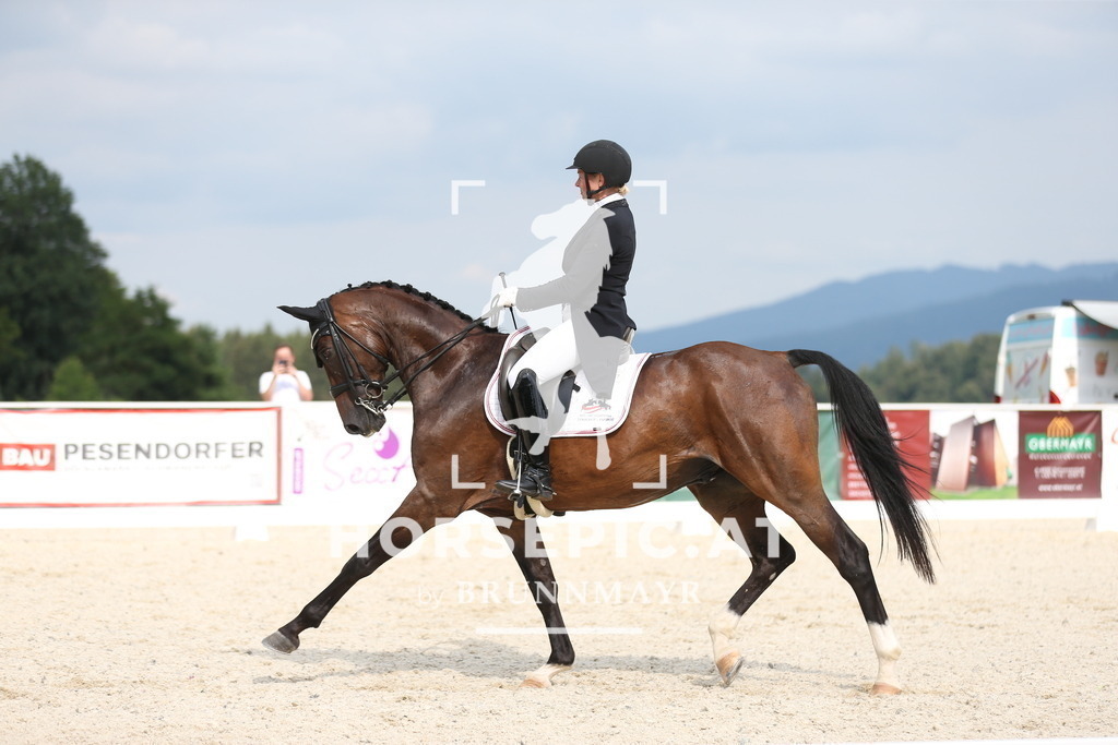 AS8V3914 | Willkommen bei Brunnmayr - Design & Fotografie – Ihrem Spezialisten für Reitturniere und Pferdeveranstaltungen in Oberösterreich, Salzburg und Bayern! Seit über 17 Jahren sind wir leidenschaftlich dabei.