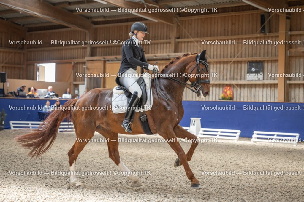 _D5A2707 | Pferdefotografie, Pferdefotografin, Turnierfotografie, Turnierfotografin, Hundefotografie, Hundefotografin, Fotografin, Pärchen, Hochzeit, Pferd