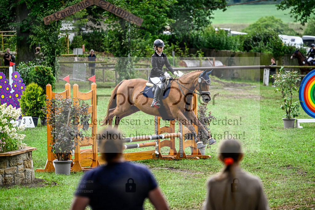 Bissendorfer Reitertage | Bilder aus dem Reitsport by Foto Oger - Domenic Schlinge - Realisiert mit Pictrs.com