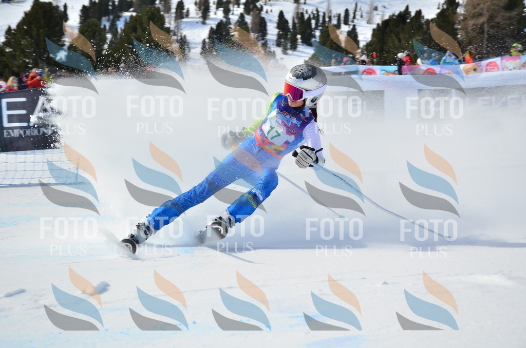 SLV_5106 | holidayphoto