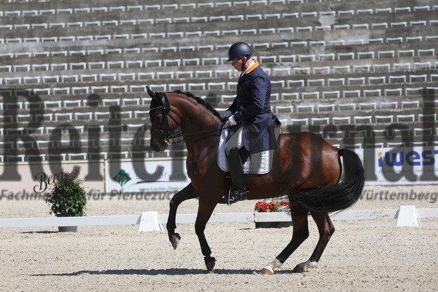 Marbach_2023_Prfg.Nr.04_Dressur_Kl.S_Inter I_Pieter van der Raadt_Remy Martin 67 (6) | Alle Fotos der Reiterjournal Fotografin Doris Matthaes im Reiterjournal Online-Fotoshop. - Realisiert mit Pictrs.com