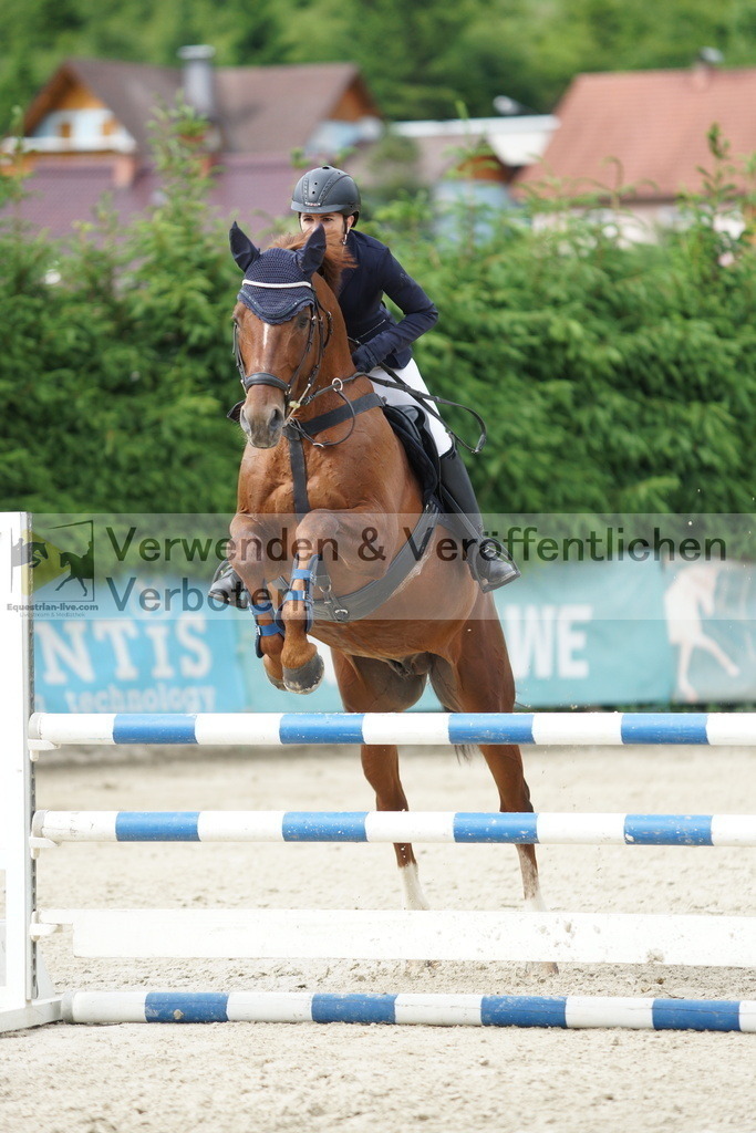 DSC07000 | equestrian-live-com