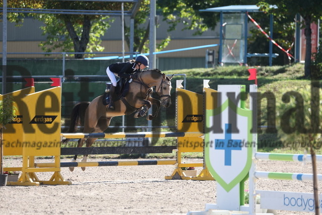 Pforzheim_2023_Prfg.Nr.16_LJC_U14_Springen_Ponys_Lilli Trösch_Golden Emperor (5) | Alle Fotos der Reiterjournal Fotografin Doris Matthaes im Reiterjournal Online-Fotoshop. - Realisiert mit Pictrs.com