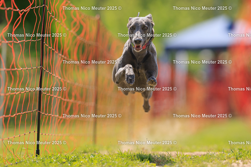 Thomas_Nico_Meuter(C)_223A4585 | Bild von Thomas Nico Meuter - Realisiert mit Pictrs.com