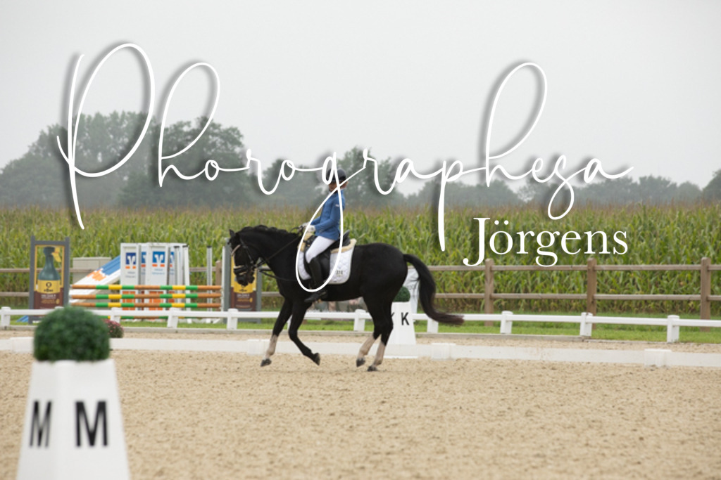 IMG_0878 | photographesa-joergens - Realisiert mit Pictrs.com