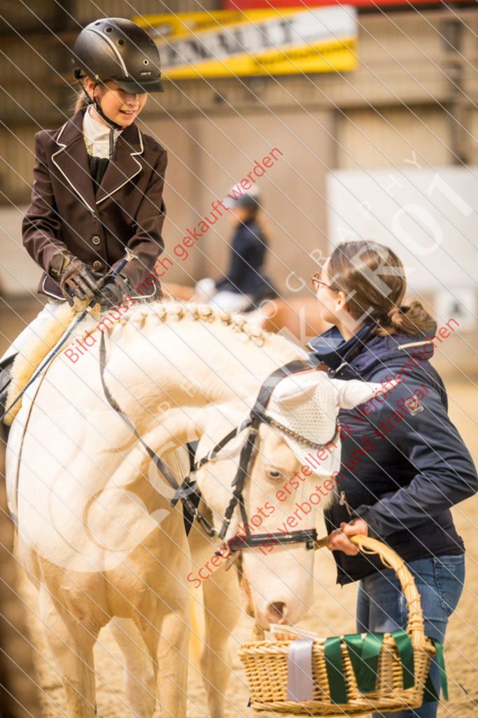 IMG_8212 | Hier findest Du viele Augenblicke aus den Bereichen der Turnier-, Sport- & Tierfotografie. Bilder mit deinem Liebling, Portrait-, Bewerbungs-, Businessbilder können ebenfalls schnell und einfach erstellt werden.