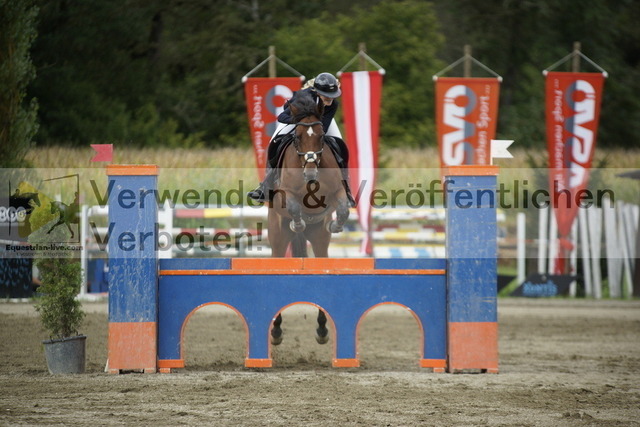 _DSC5412 | equestrian-live-com