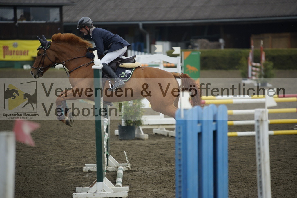 _DSC6666 | equestrian-live-com