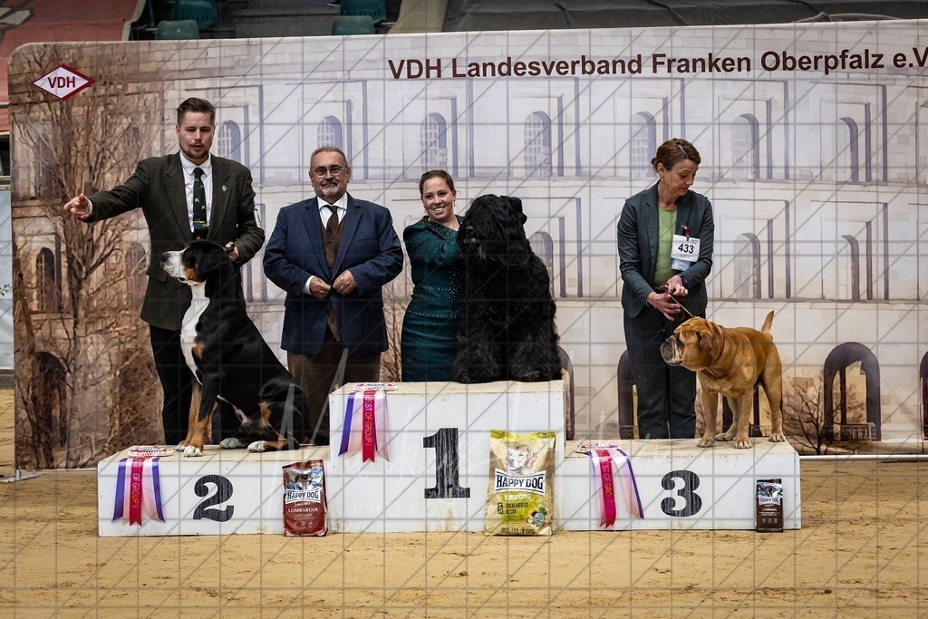 DS - FCI Gruppe 2_0062 | Markus Heber Photography