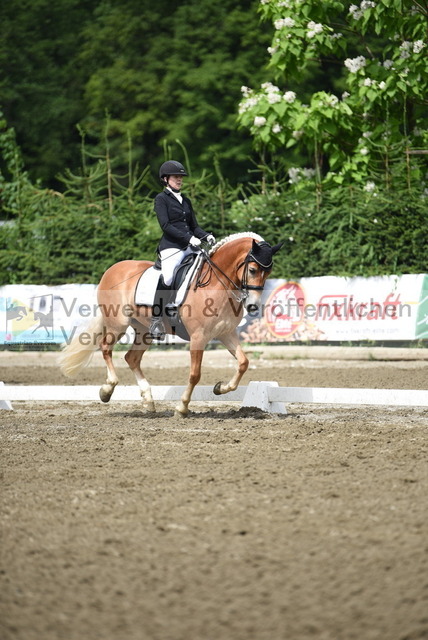 DSC_0672 | equestrian-live-com