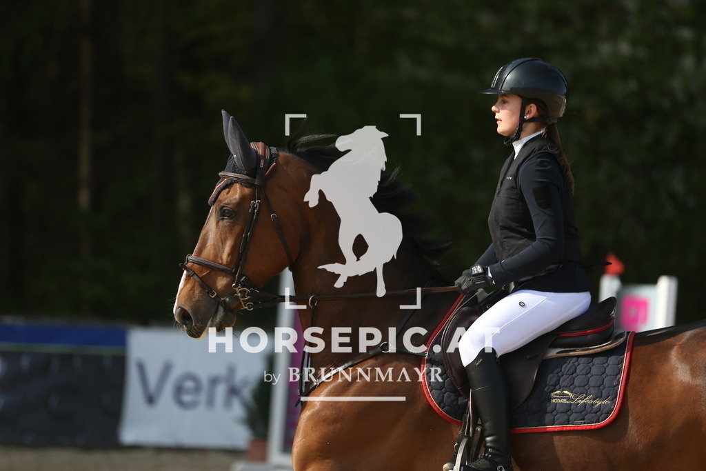 AS8V0164 | Willkommen bei Brunnmayr - Design & Fotografie – Ihrem Spezialisten für Reitturniere und Pferdeveranstaltungen in Oberösterreich, Salzburg und Bayern! Seit über 17 Jahren sind wir leidenschaftlich dabei.