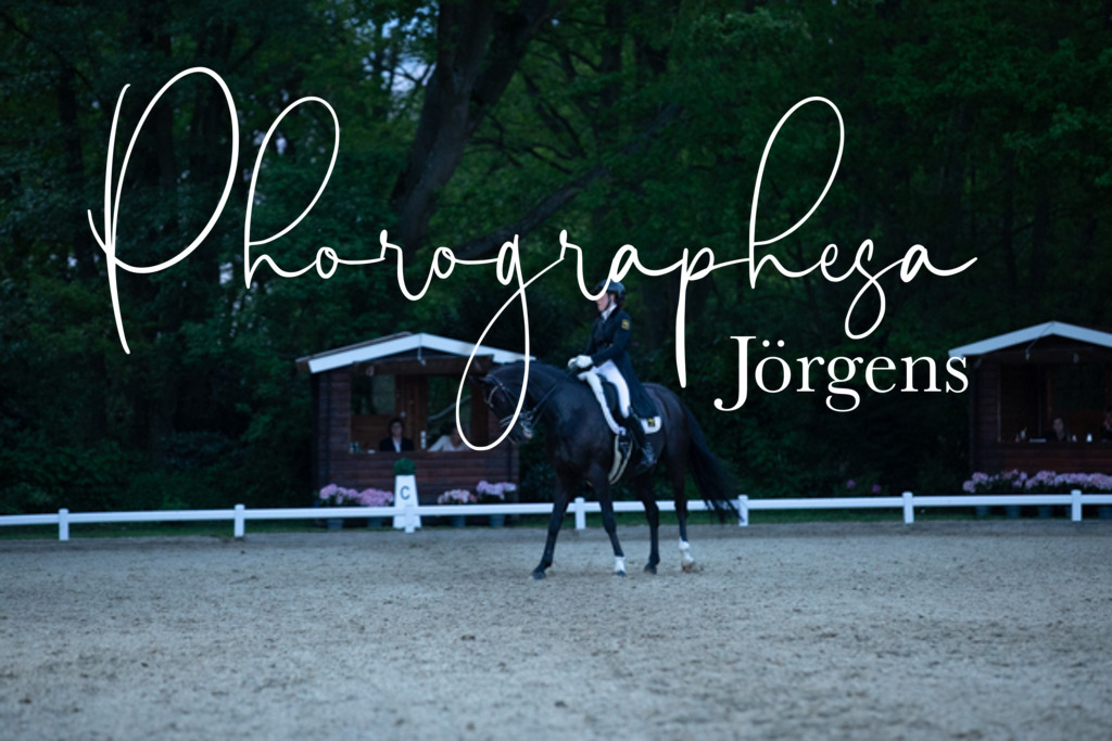 IMG_9989 | photographesa-joergens - Realisiert mit Pictrs.com