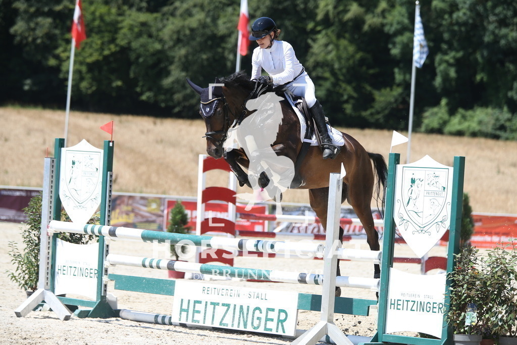 AS8V8923 | Willkommen bei Brunnmayr - Design & Fotografie – Ihrem Spezialisten für Reitturniere und Pferdeveranstaltungen in Oberösterreich, Salzburg und Bayern! Seit über 17 Jahren sind wir leidenschaftlich dabei.