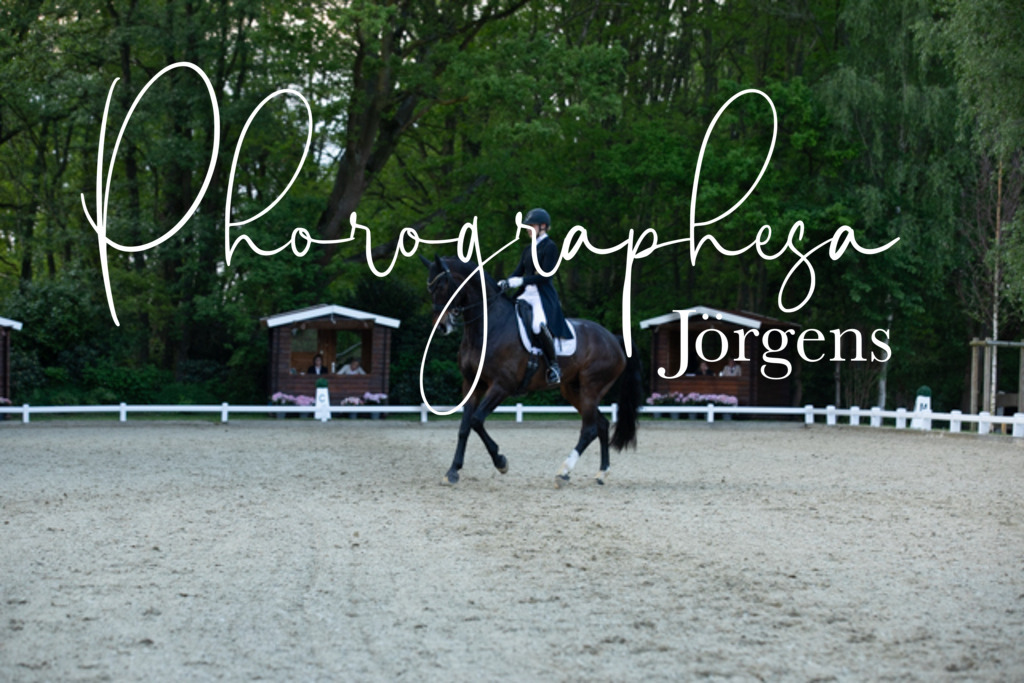 IMG_9433 | photographesa-joergens - Realisiert mit Pictrs.com