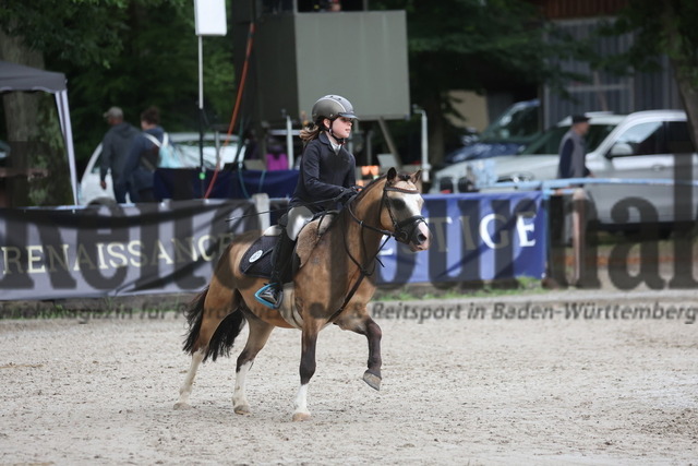 Ichenheim_2024_Prfg.Nr.26_Stilspring-WB_60cm_Frida Veil_Ulbargens EDISON (3) | Alle Fotos der Reiterjournal Fotografin Doris Matthaes im Reiterjournal Online-Fotoshop. - Realisiert mit Pictrs.com