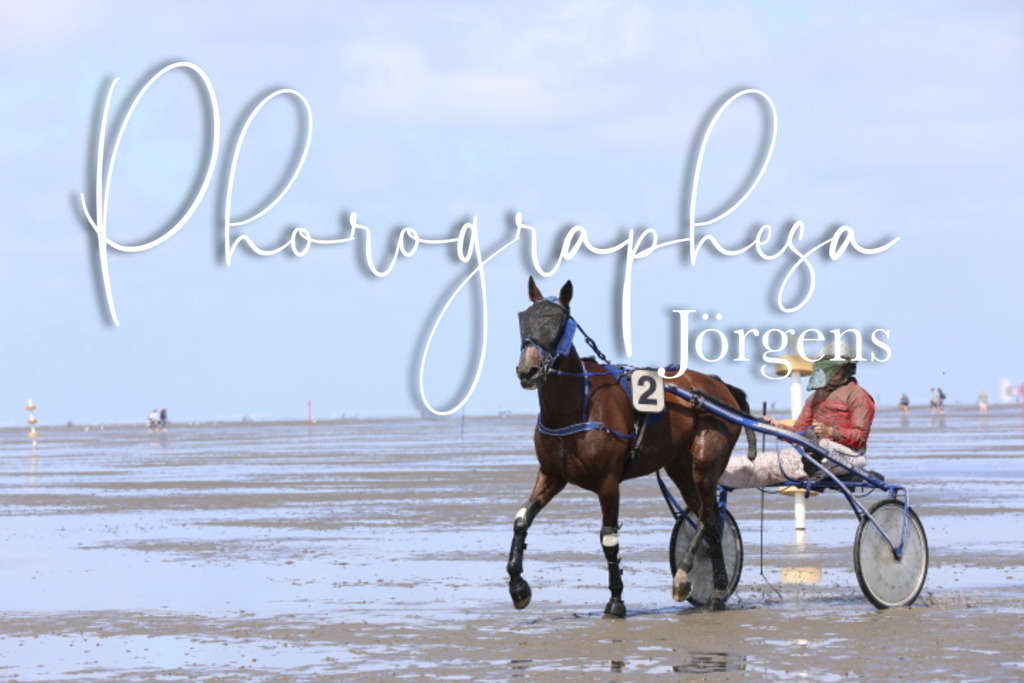 IMG_8358 | photographesa-joergens - Realisiert mit Pictrs.com