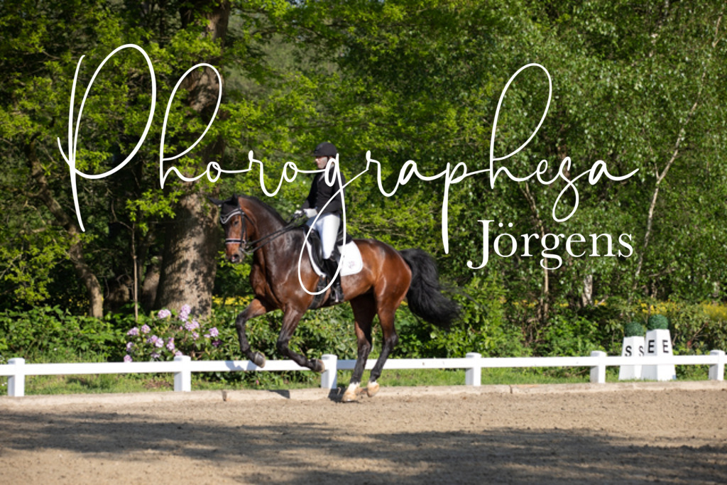 IMG_2383 | photographesa-joergens - Realisiert mit Pictrs.com